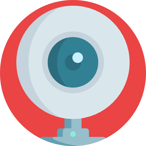 Web camera